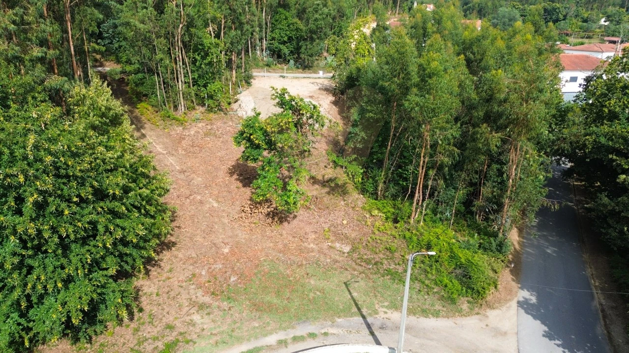 Terreno para Venda em Fornelos e Queijada Foto 6