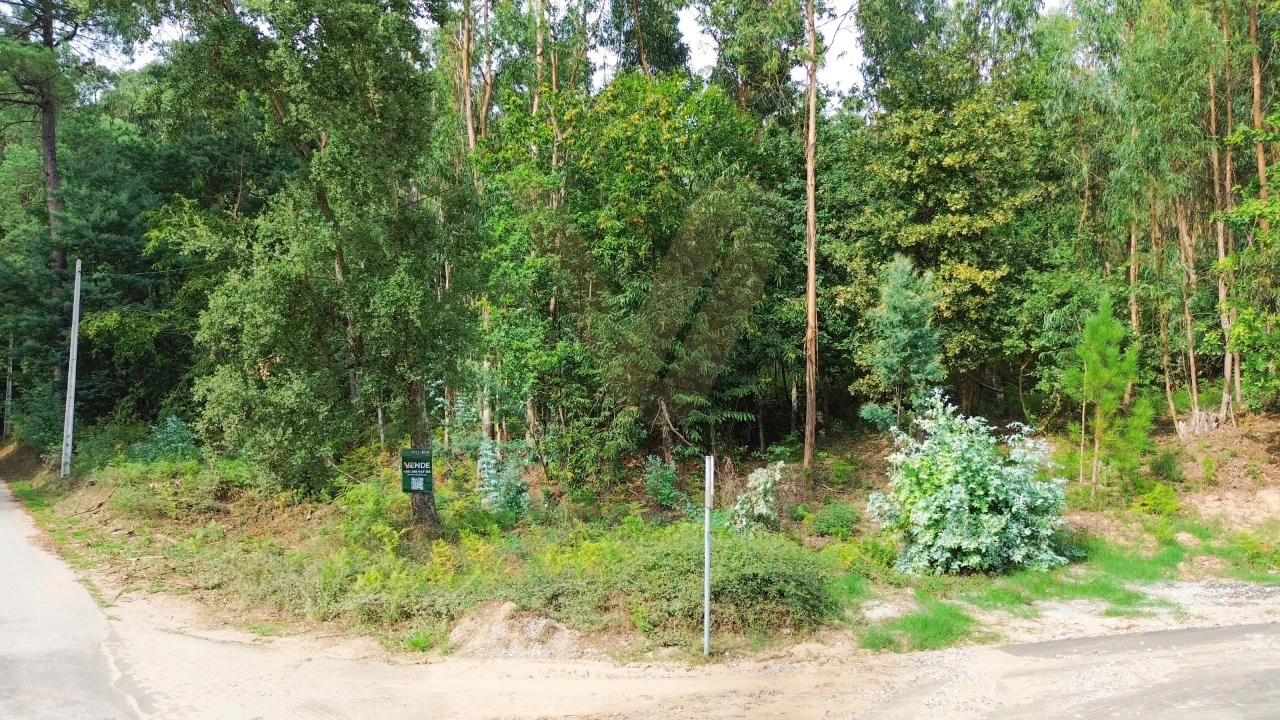 Terreno para Venda em Fornelos e Queijada Foto 8