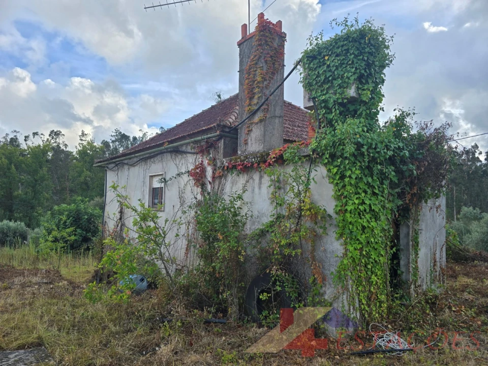 Moradia T4 para Venda em Pombal Foto 5