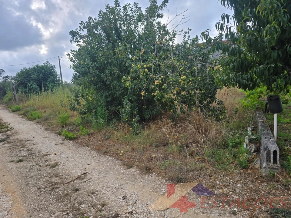 Moradia T4 para Venda em Pombal Foto 18