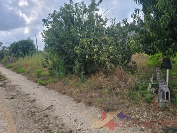 Moradia T4 para Venda em Pombal