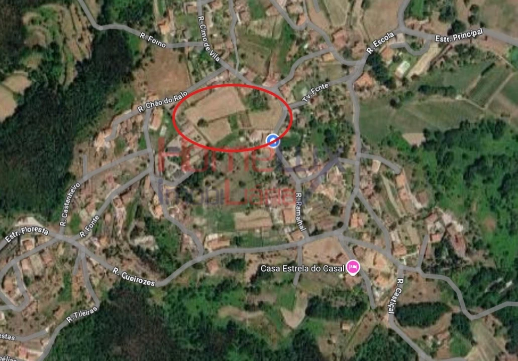 Terreno para Venda em Serrazes Foto 39