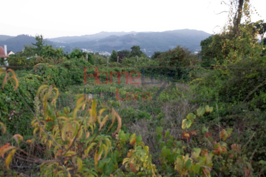 Terreno para Venda em Serrazes Foto 4