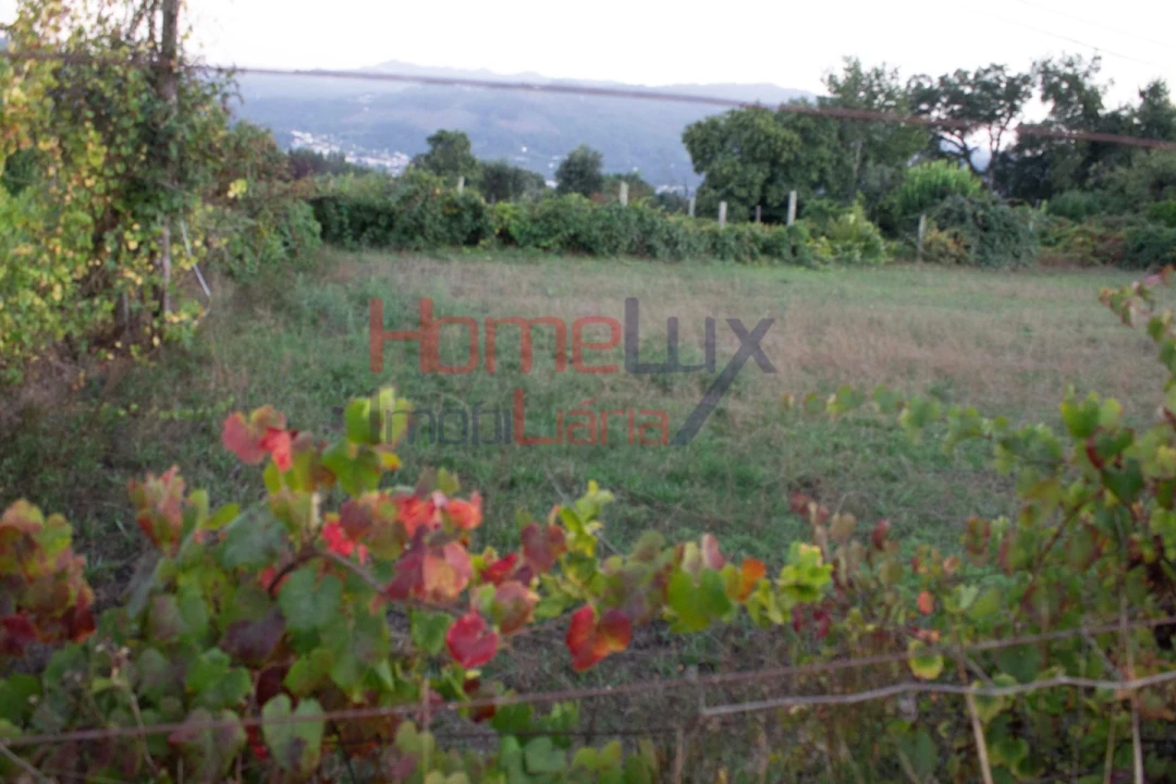 Terreno para Venda em Serrazes Foto 5