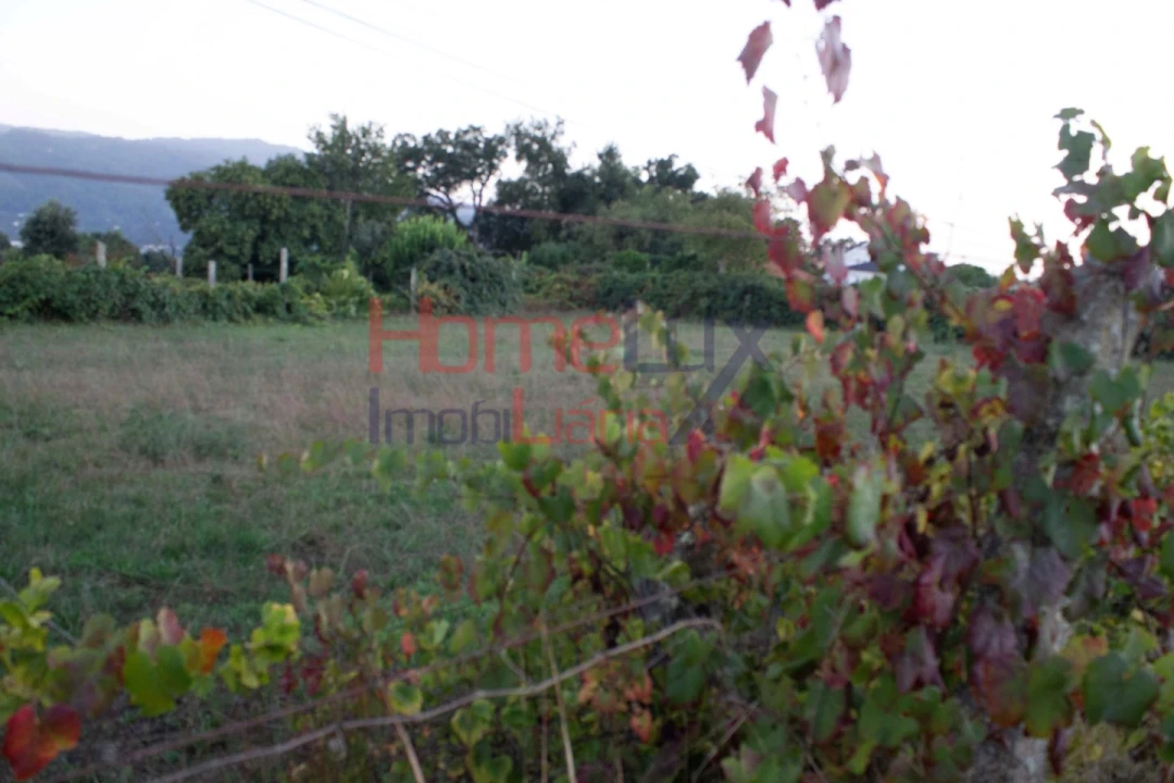 Terreno para Venda em Serrazes Foto 6