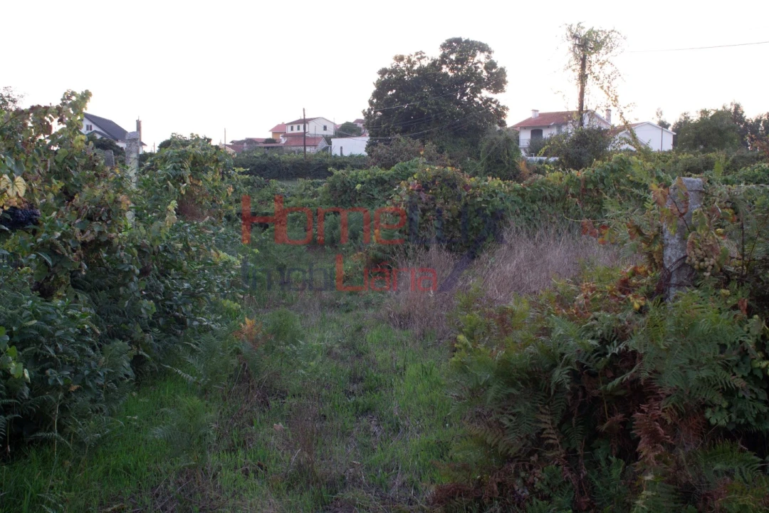 Terreno para Venda em Serrazes Foto 10