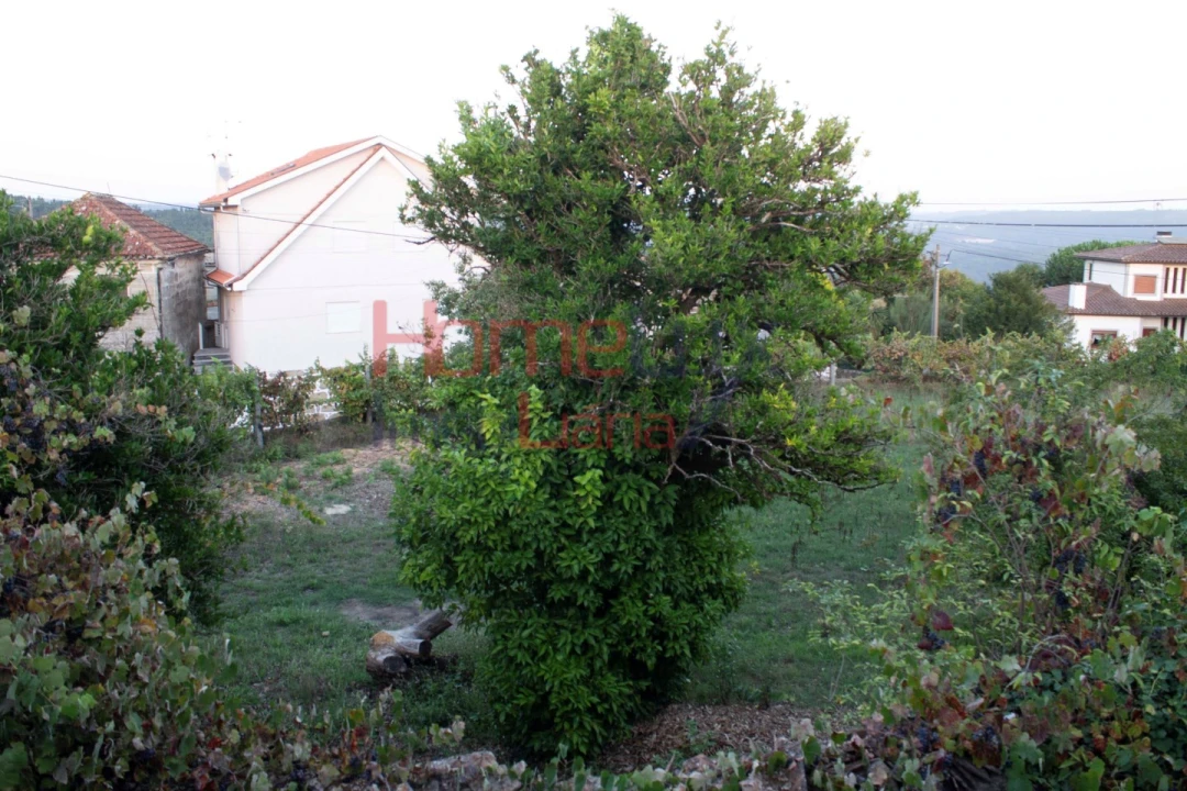 Terreno para Venda em Serrazes Foto 20