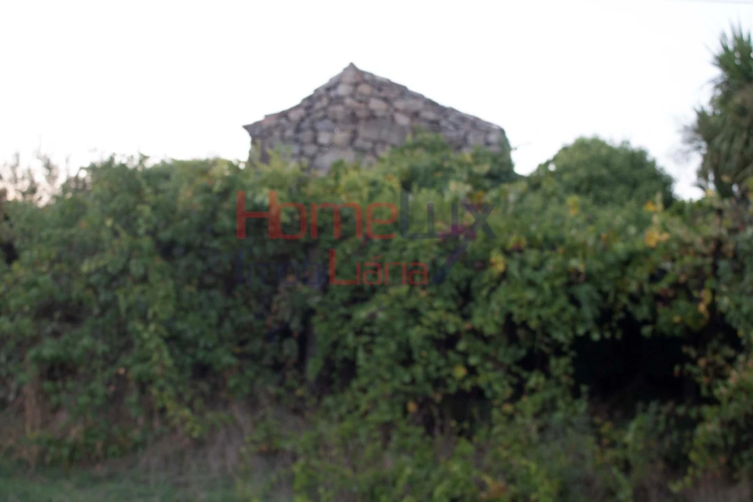 Terreno para Venda em Serrazes Foto 24