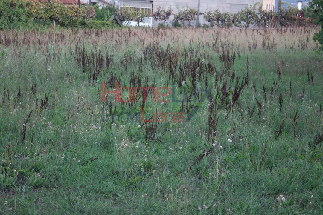 Terreno para Venda em Serrazes Foto 25