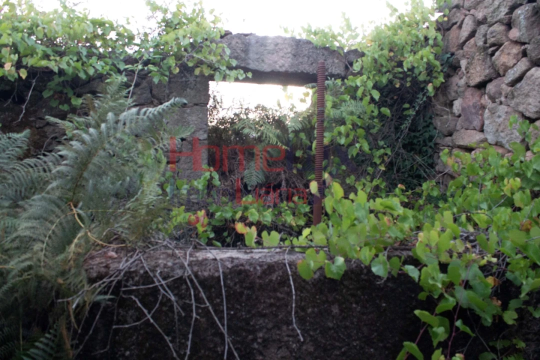 Terreno para Venda em Serrazes Foto 32