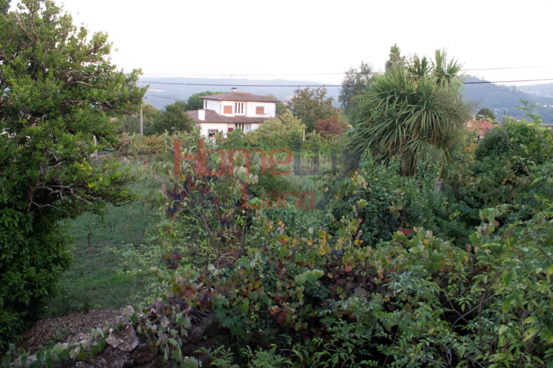 Terreno para Venda em Serrazes Foto 37