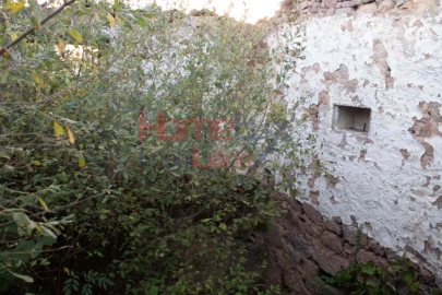 Terreno para Venda em Serrazes