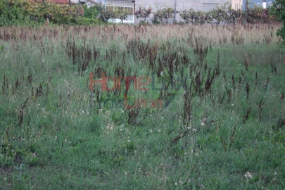 Terreno para Venda em Serrazes