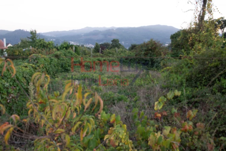 Terreno para Venda em Serrazes Foto 4