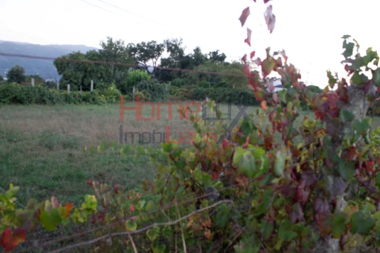 Terreno para Venda em Serrazes Foto 6