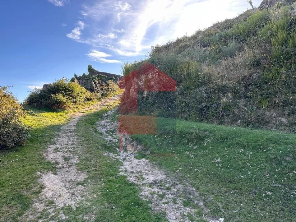 Terreno para Venda em Cibões e Brufe Foto 15
