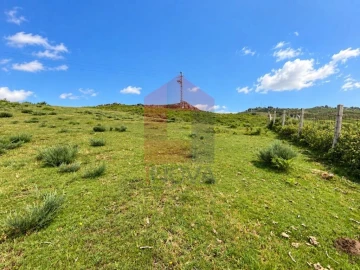Terreno para Venda em Cibões e Brufe
