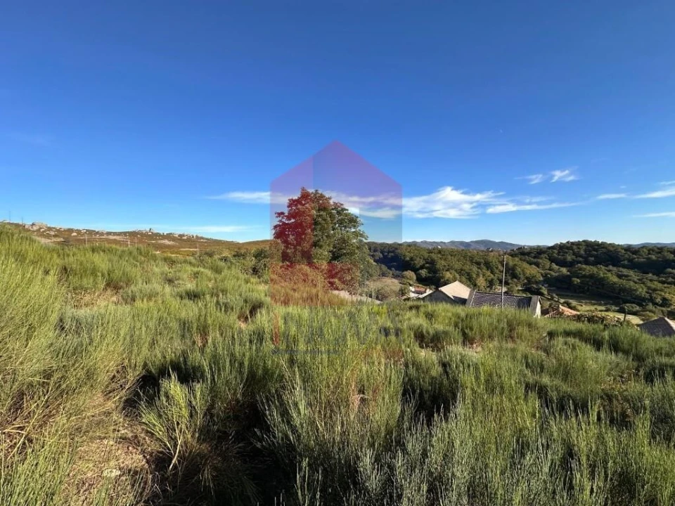 Terreno para Venda em Cibões e Brufe Foto 4