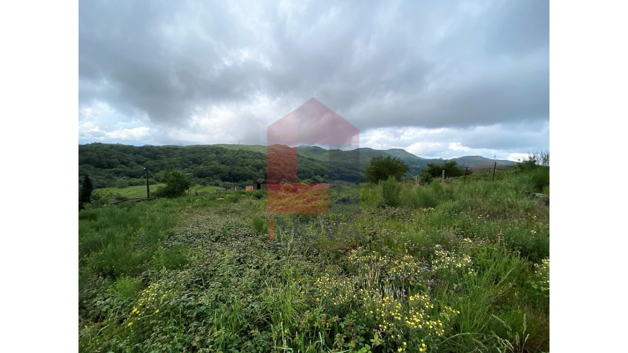 Terreno para Venda em Cibões e Brufe Foto 5