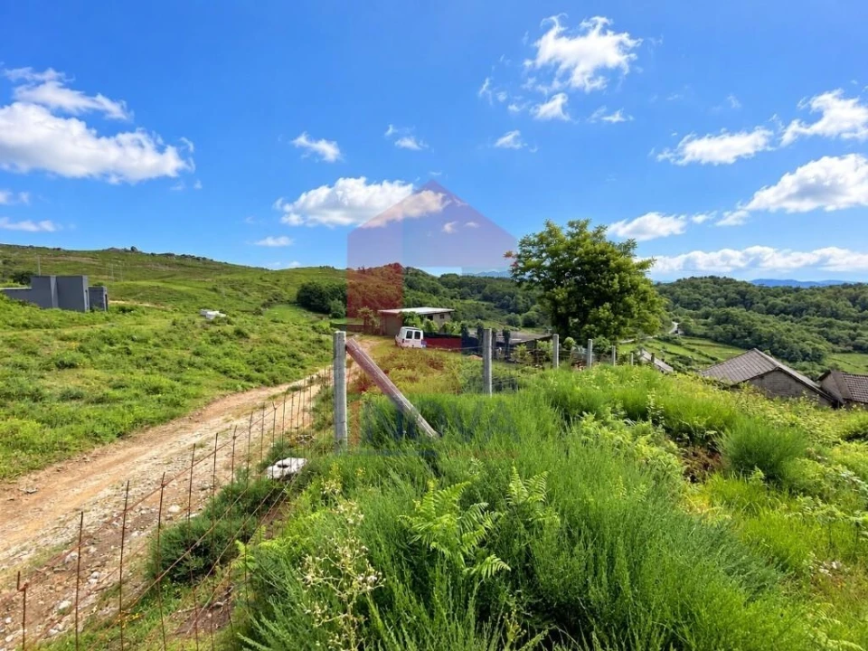 Terreno para Venda em Cibões e Brufe Foto 14