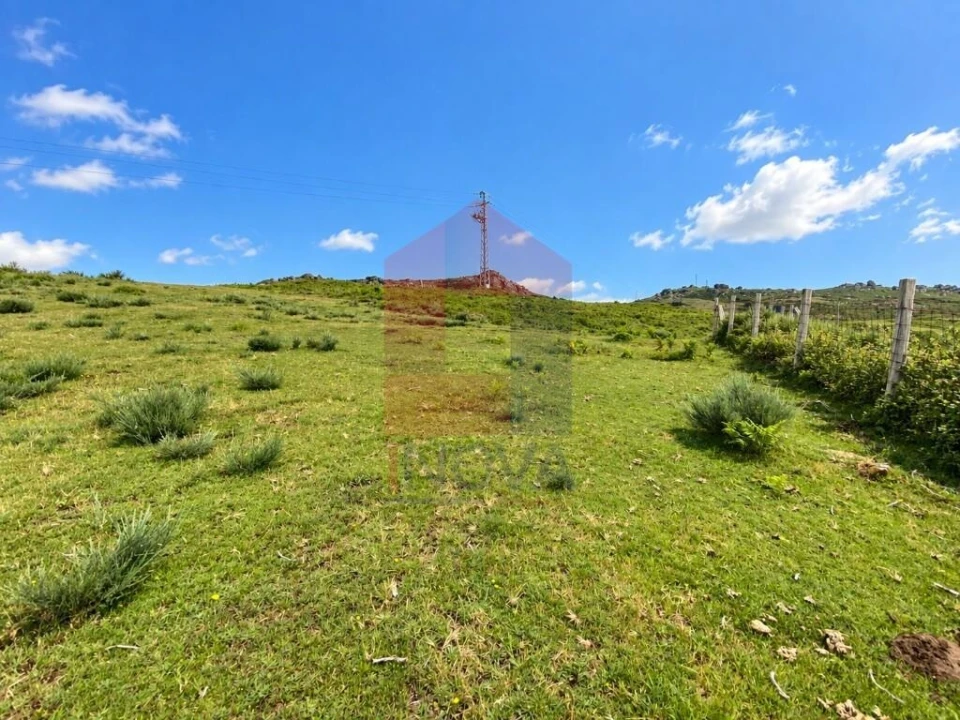 Terreno para Venda em Cibões e Brufe Foto 13