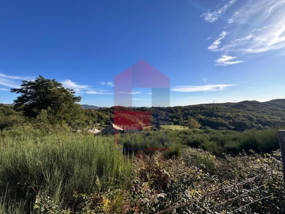 Terreno para Venda em Cibões e Brufe Foto 5