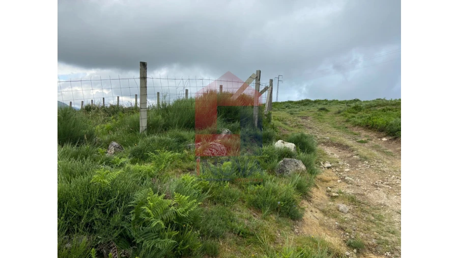 Terreno para Venda em Cibões e Brufe Foto 18