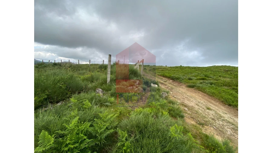 Terreno para Venda em Cibões e Brufe Foto 20