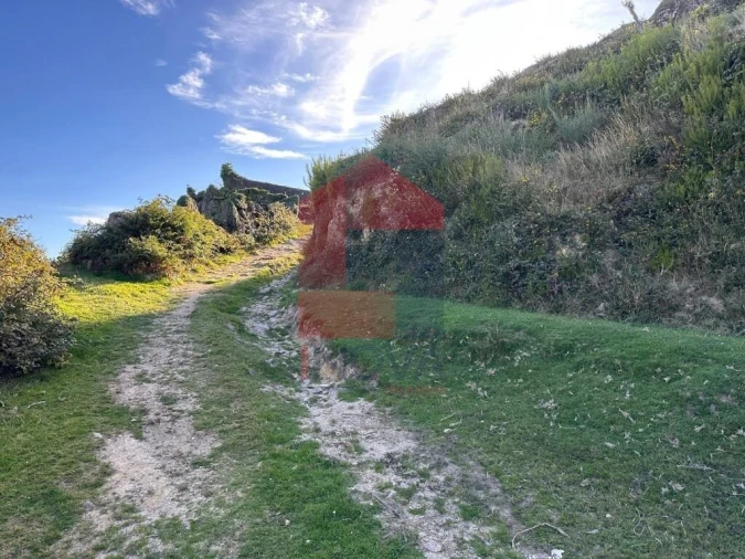 Terreno para Venda em Cibões e Brufe Foto 15