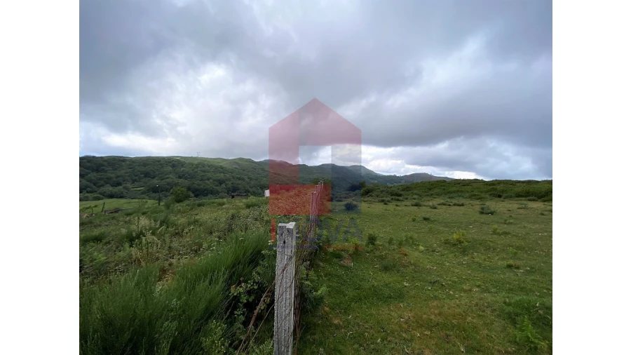 Terreno para Venda em Cibões e Brufe Foto 16