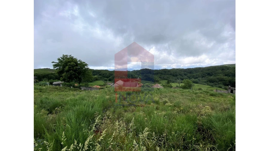 Terreno para Venda em Cibões e Brufe Foto 3