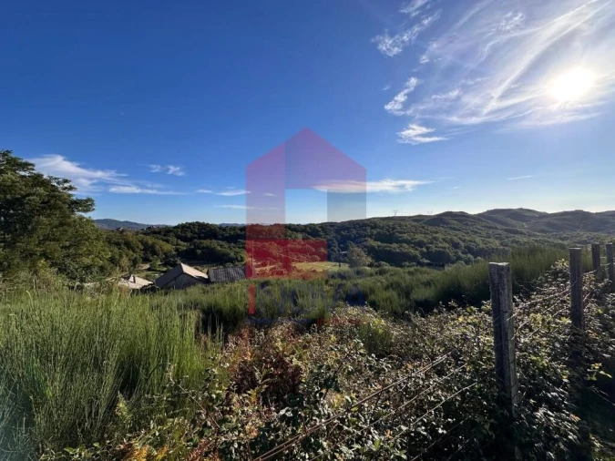 Terreno para Venda em Cibões e Brufe Foto 6