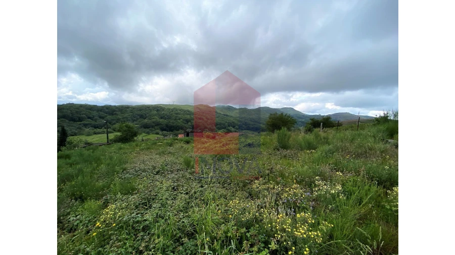 Terreno para Venda em Cibões e Brufe Foto 5