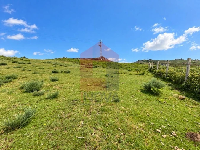 Terreno para Venda em Cibões e Brufe Foto 13