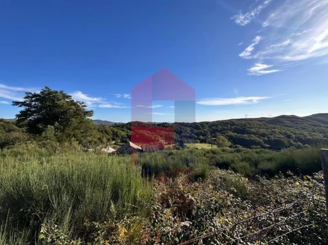 Terreno para Venda em Cibões e Brufe Foto 5
