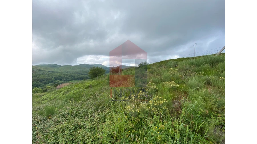 Terreno para Venda em Cibões e Brufe Foto 8