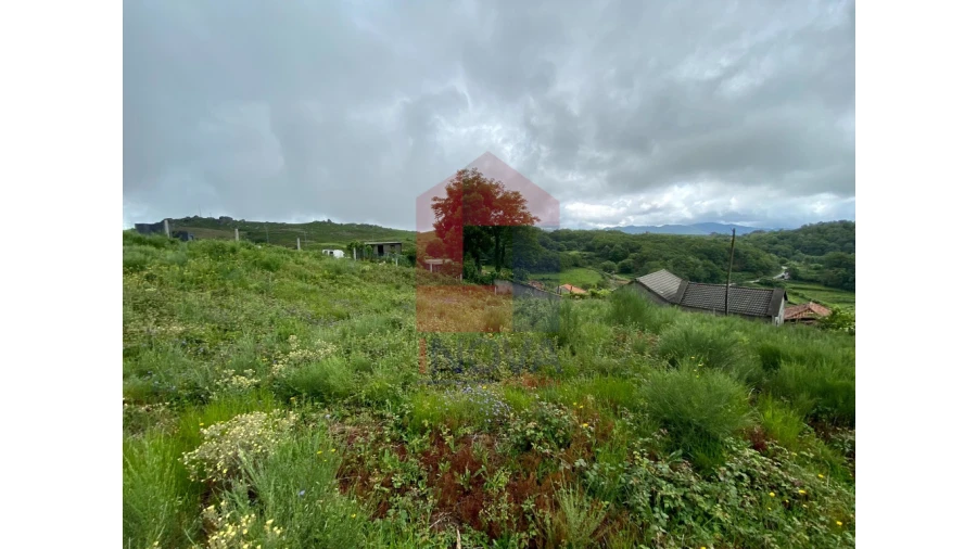 Terreno para Venda em Cibões e Brufe Foto 7