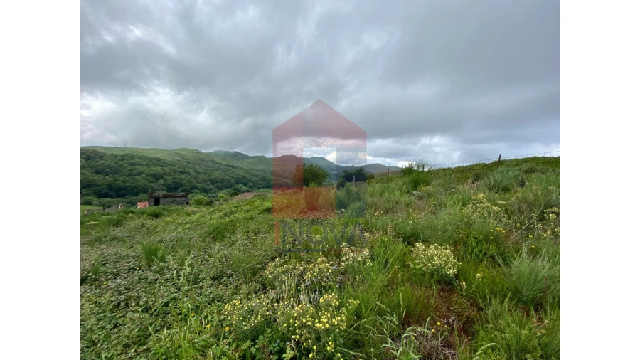 Terreno para Venda em Cibões e Brufe Foto 6