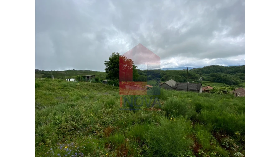 Terreno para Venda em Cibões e Brufe Foto 12