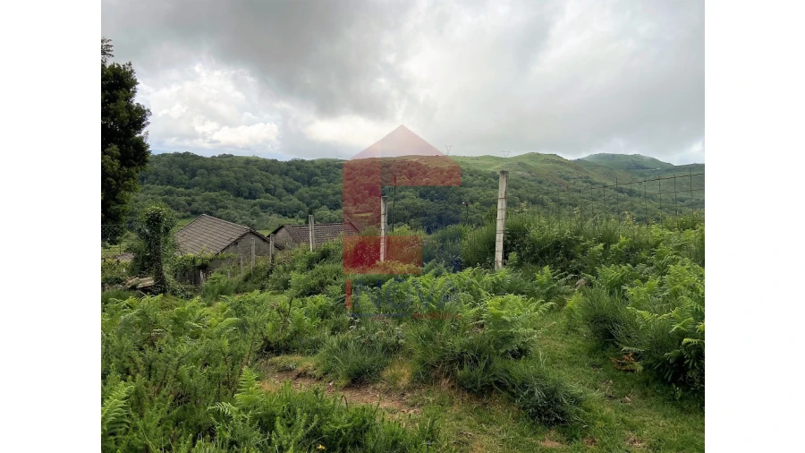 Terreno para Venda em Cibões e Brufe Foto 17