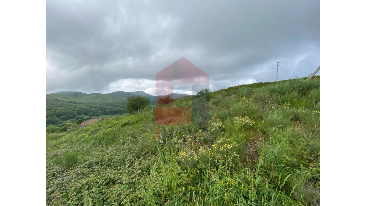 Terreno para Venda em Cibões e Brufe Foto 8