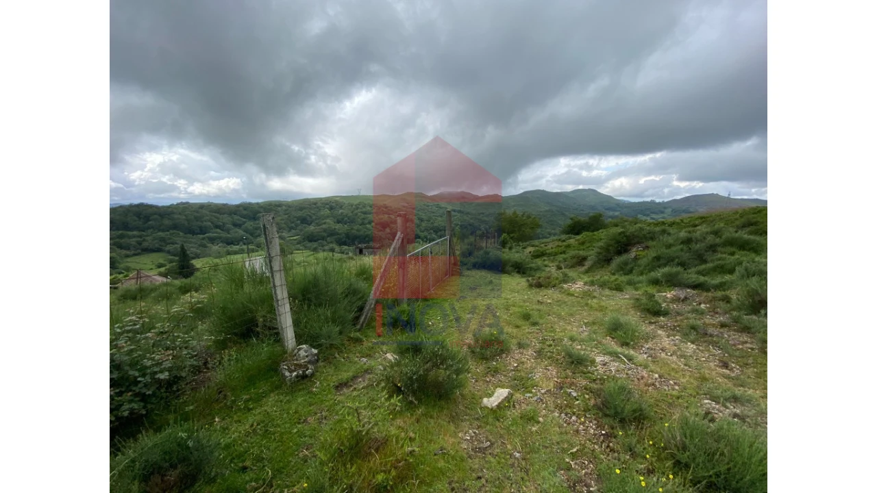 Terreno para Venda em Cibões e Brufe Foto 14