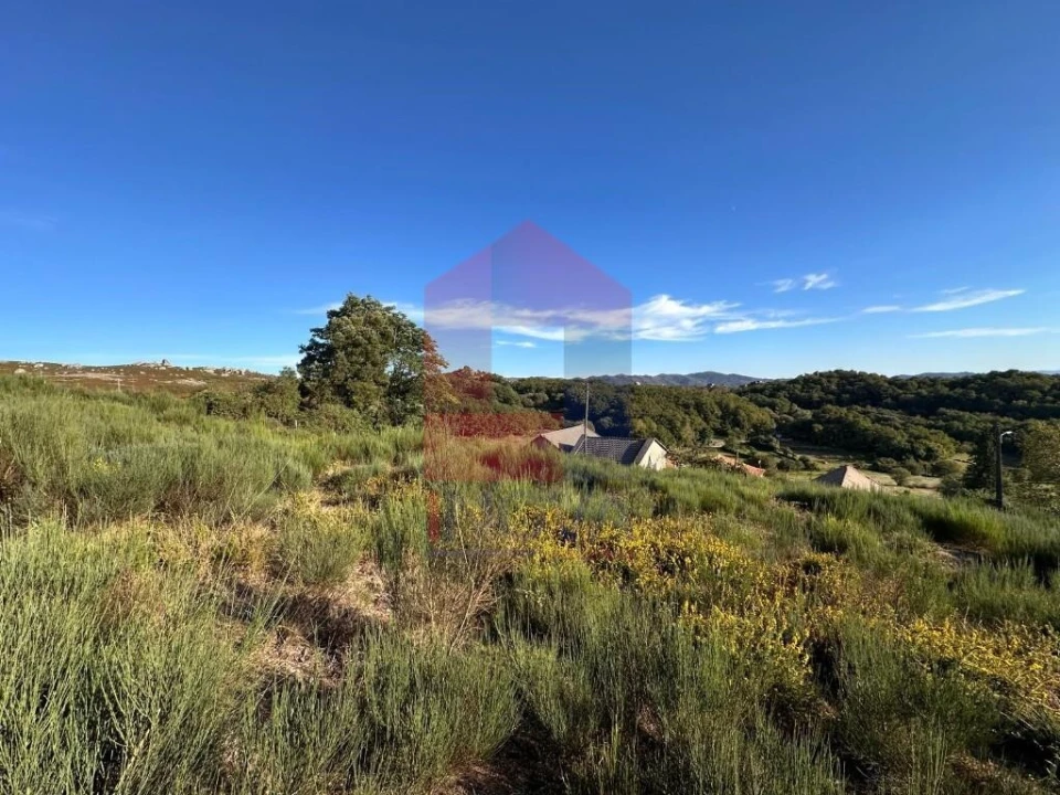 Terreno para Venda em Cibões e Brufe Foto 11