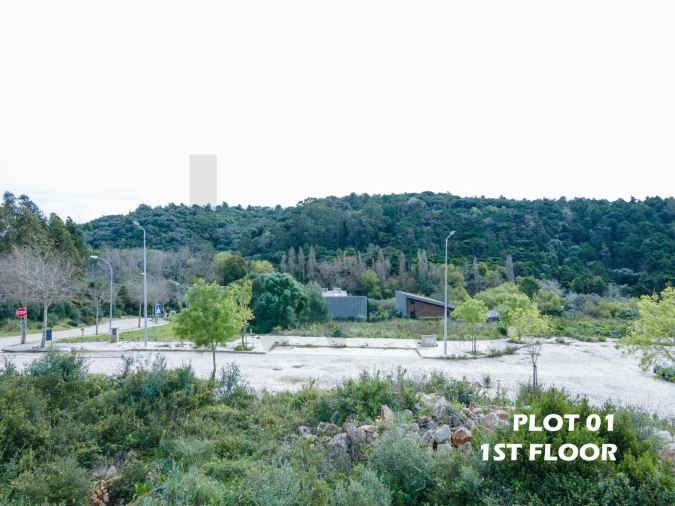 Terreno para Venda em Santa Maria e São Miguel, São Martinho, São Pedro Penaferrim Foto 7