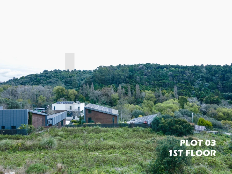 Terreno para Venda em Santa Maria e São Miguel, São Martinho, São Pedro Penaferrim Foto 5