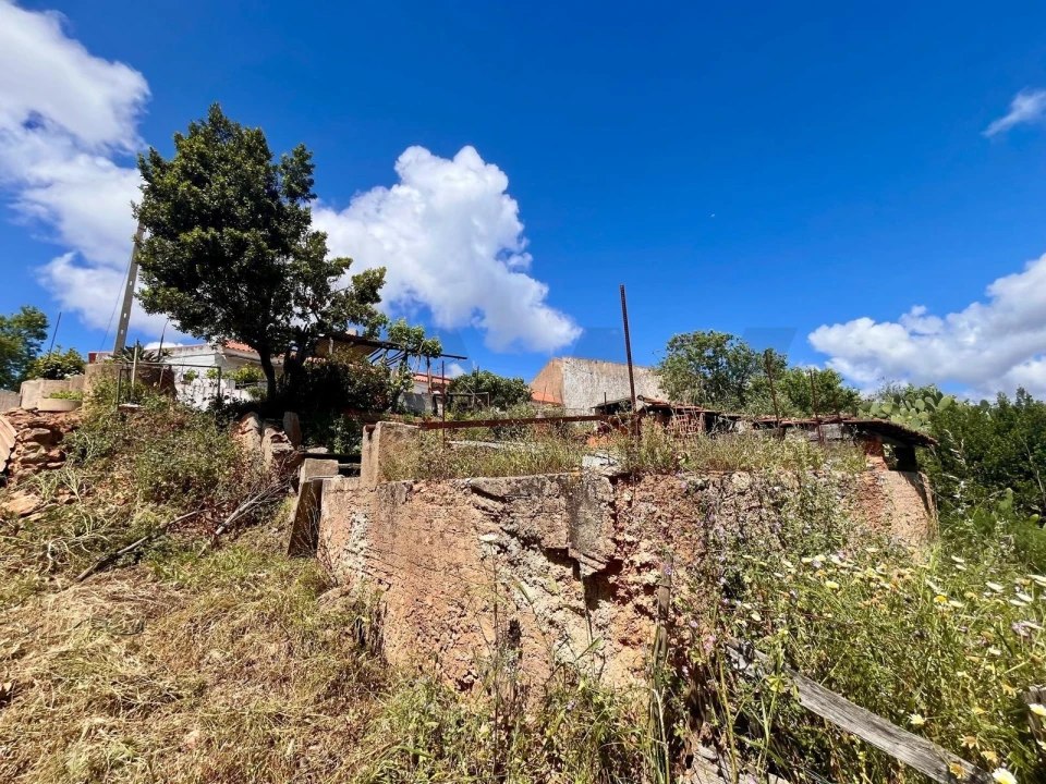 Terreno para Venda em Mexilhoeira Grande Foto 7