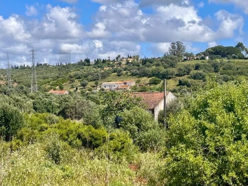 Terreno para Venda em Mexilhoeira Grande