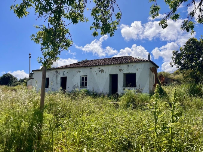 Terreno para Venda em Mexilhoeira Grande Foto 8