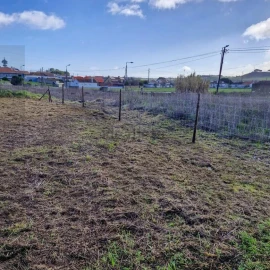 Terreno para Venda em Manique do Intendente, Vila Nova de São Pedro e Maçussa