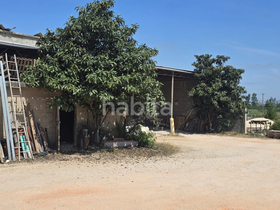 Terreno para Venda em Alfarelos Foto 5